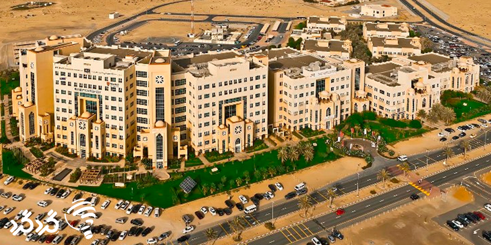 دانشگاه آکادمی بین المللی دبی