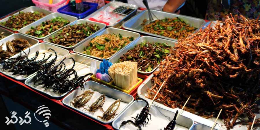 غذاهای عجیب تایلندی
