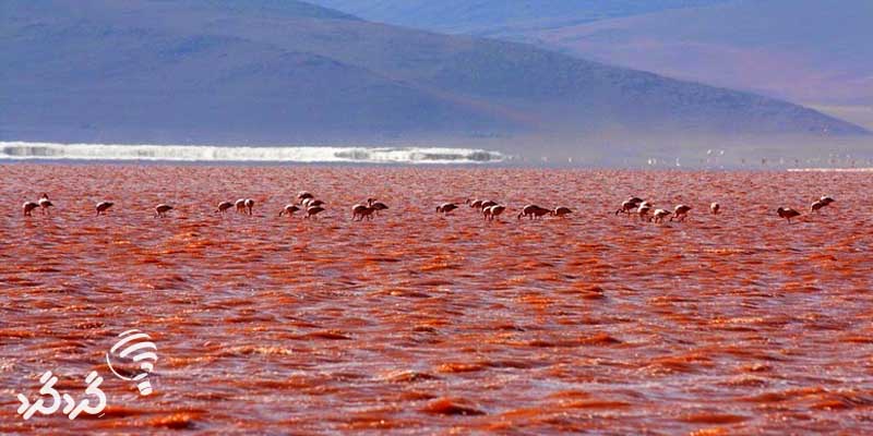 دریاچه خون در بولیوی