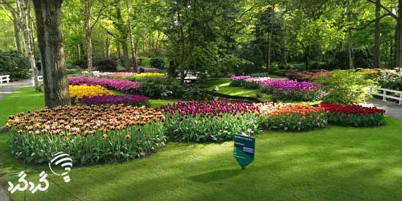 جشنواره گل در هلند