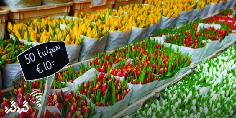 بازار گل در هلند